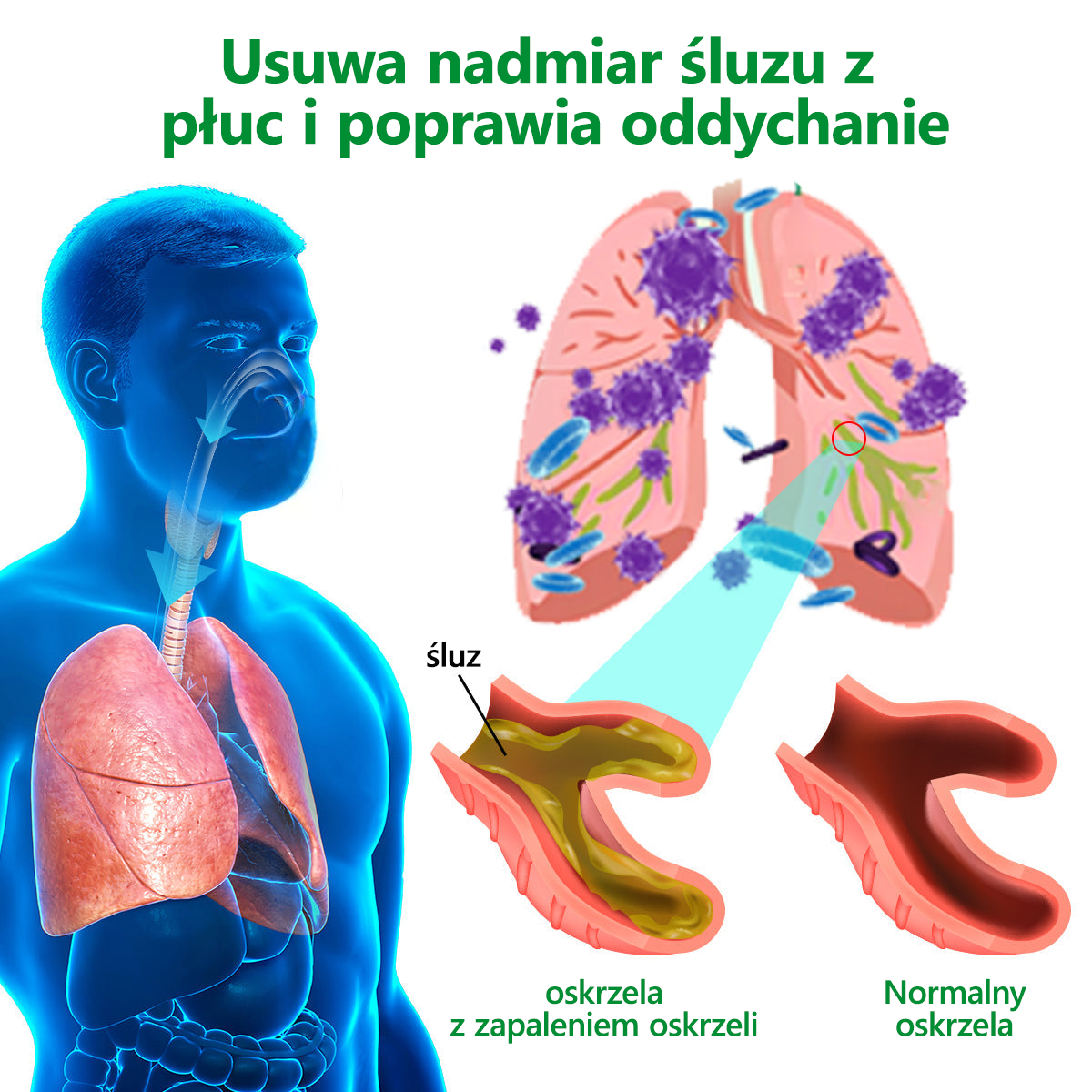 [Oficjalny sklep marki] 👨‍⚕️Lercea™ Ekskluzywny Balsam Naprawczy dla Płuc (☘️Polecany przez specjalistów od płuc☘️)